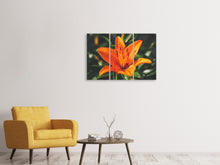 Laden Sie das Bild in den Galerie-Viewer, Leinwandbild 3-teilig Lilien Blüte in orange XL