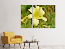 Laden Sie das Bild in den Galerie-Viewer, Leinwandbild 3-teilig Lilien Blüte in gelb