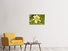 Laden Sie das Bild in den Galerie-Viewer, Leinwandbild 3-teilig Lilien Blüte in gelb