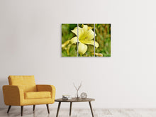Laden Sie das Bild in den Galerie-Viewer, Leinwandbild 3-teilig Lilien Blüte in gelb