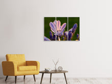 Laden Sie das Bild in den Galerie-Viewer, Leinwandbild 3-teilig Schmucklilien mit Morgentau