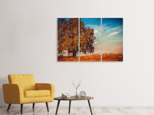 Laden Sie das Bild in den Galerie-Viewer, Leinwandbild 3-teilig Der Nussbaum