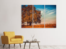 Laden Sie das Bild in den Galerie-Viewer, Leinwandbild 3-teilig Der Nussbaum