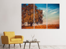 Laden Sie das Bild in den Galerie-Viewer, Leinwandbild 3-teilig Der Nussbaum