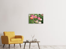 Laden Sie das Bild in den Galerie-Viewer, Leinwandbild 3-teilig Blumen des Frühlings