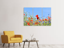 Laden Sie das Bild in den Galerie-Viewer, Leinwandbild 3-teilig Der Mohn in der Blumenwiese