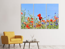 Laden Sie das Bild in den Galerie-Viewer, Leinwandbild 3-teilig Der Mohn in der Blumenwiese