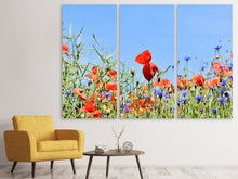 Laden Sie das Bild in den Galerie-Viewer, Leinwandbild 3-teilig Der Mohn in der Blumenwiese