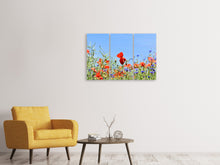 Laden Sie das Bild in den Galerie-Viewer, Leinwandbild 3-teilig Der Mohn in der Blumenwiese