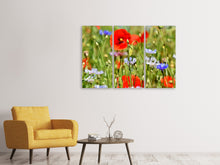 Laden Sie das Bild in den Galerie-Viewer, Leinwandbild 3-teilig Der wilde Mohn XL