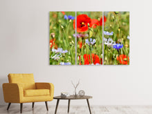 Laden Sie das Bild in den Galerie-Viewer, Leinwandbild 3-teilig Der wilde Mohn XL
