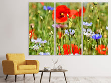 Laden Sie das Bild in den Galerie-Viewer, Leinwandbild 3-teilig Der wilde Mohn XL