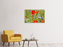 Laden Sie das Bild in den Galerie-Viewer, Leinwandbild 3-teilig Der wilde Mohn XL