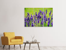 Laden Sie das Bild in den Galerie-Viewer, Leinwandbild 3-teilig Schöner Lavendel