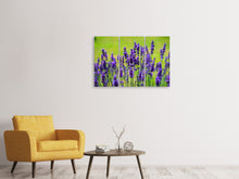 Laden Sie das Bild in den Galerie-Viewer, Leinwandbild 3-teilig Schöner Lavendel