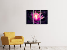 Laden Sie das Bild in den Galerie-Viewer, Leinwandbild 3-teilig Lilie im Lichterspiel