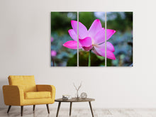 Laden Sie das Bild in den Galerie-Viewer, Leinwandbild 3-teilig Wunderschöne Lotus