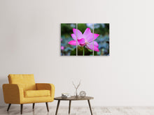 Laden Sie das Bild in den Galerie-Viewer, Leinwandbild 3-teilig Wunderschöne Lotus