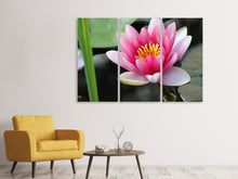 Laden Sie das Bild in den Galerie-Viewer, Leinwandbild 3-teilig Die Seerose in pink