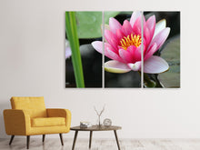 Laden Sie das Bild in den Galerie-Viewer, Leinwandbild 3-teilig Die Seerose in pink