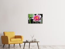 Laden Sie das Bild in den Galerie-Viewer, Leinwandbild 3-teilig Die Seerose in pink
