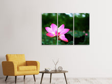 Laden Sie das Bild in den Galerie-Viewer, Leinwandbild 3-teilig Lotus in der Natur