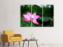 Laden Sie das Bild in den Galerie-Viewer, Leinwandbild 3-teilig Lotus in der Natur