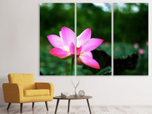 Laden Sie das Bild in den Galerie-Viewer, Leinwandbild 3-teilig Lotus in der Natur