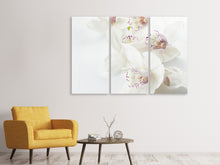 Laden Sie das Bild in den Galerie-Viewer, Leinwandbild 3-teilig Fantastische Orchideen