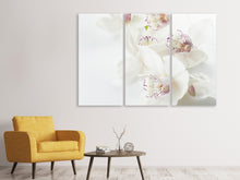 Laden Sie das Bild in den Galerie-Viewer, Leinwandbild 3-teilig Fantastische Orchideen