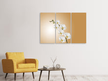 Laden Sie das Bild in den Galerie-Viewer, Leinwandbild 3-teilig Weisse Orchideen XL