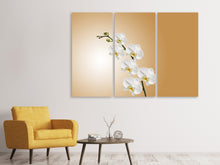 Laden Sie das Bild in den Galerie-Viewer, Leinwandbild 3-teilig Weisse Orchideen XL