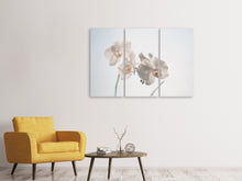 Laden Sie das Bild in den Galerie-Viewer, Leinwandbild 3-teilig Anmutige Orchideen
