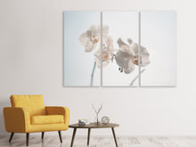Laden Sie das Bild in den Galerie-Viewer, Leinwandbild 3-teilig Anmutige Orchideen