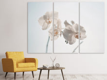 Laden Sie das Bild in den Galerie-Viewer, Leinwandbild 3-teilig Anmutige Orchideen