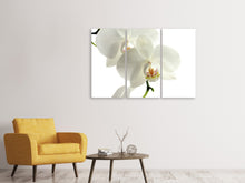 Laden Sie das Bild in den Galerie-Viewer, Leinwandbild 3-teilig Orchideen Blüte