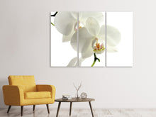 Laden Sie das Bild in den Galerie-Viewer, Leinwandbild 3-teilig Orchideen Blüte