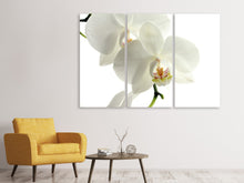 Laden Sie das Bild in den Galerie-Viewer, Leinwandbild 3-teilig Orchideen Blüte