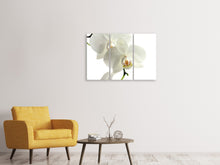 Laden Sie das Bild in den Galerie-Viewer, Leinwandbild 3-teilig Orchideen Blüte