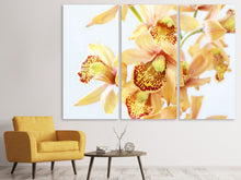 Laden Sie das Bild in den Galerie-Viewer, Leinwandbild 3-teilig Gelbe Orchidee