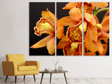 Laden Sie das Bild in den Galerie-Viewer, Leinwandbild 3-teilig Orchideen mit orangen Blüten