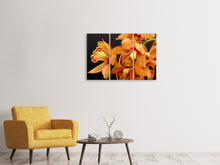 Laden Sie das Bild in den Galerie-Viewer, Leinwandbild 3-teilig Orchideen mit orangen Blüten