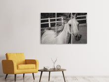 Laden Sie das Bild in den Galerie-Viewer, Leinwandbild 3-teilig Da steht ein Pferd