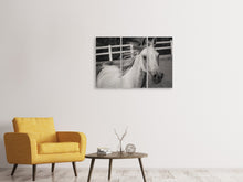 Laden Sie das Bild in den Galerie-Viewer, Leinwandbild 3-teilig Da steht ein Pferd