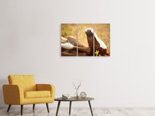 Laden Sie das Bild in den Galerie-Viewer, Leinwandbild 3-teilig Das schlafende Pferd