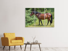 Laden Sie das Bild in den Galerie-Viewer, Leinwandbild 3-teilig Kräftiges Pferd