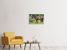 Laden Sie das Bild in den Galerie-Viewer, Leinwandbild 3-teilig Kräftiges Pferd
