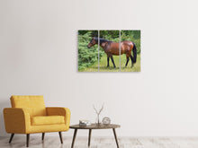 Laden Sie das Bild in den Galerie-Viewer, Leinwandbild 3-teilig Kräftiges Pferd