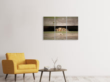 Laden Sie das Bild in den Galerie-Viewer, Leinwandbild 3-teilig Katze im Versteck