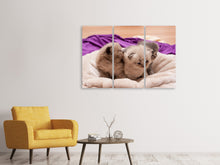 Laden Sie das Bild in den Galerie-Viewer, Leinwandbild 3-teilig Kitten Trio zum Verlieben